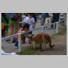DSC_0282_result.jpg