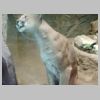 IMG_20220521_155422_397_result.jpg